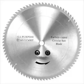 Rid 789611007645 12 Inch 80t Carbide Tipped Saw Blade