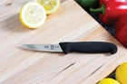 Mercer Bpx Paring Kitchen Knife 4" Polished X50CRMOV15 Steel Blade Grn Handle New. Price: $23.29.